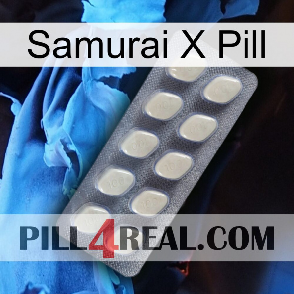 Samurai X Pill 08.jpg